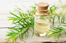 Tea Tree Essential Oil